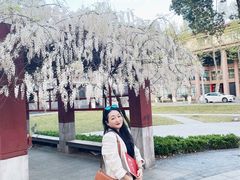 -四川大学(望江校区)