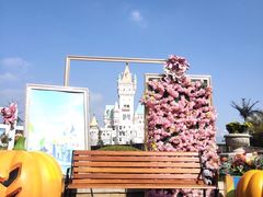 -青岛方特梦幻王国