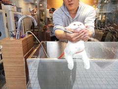 -PETKIT小佩宠物(古北店)