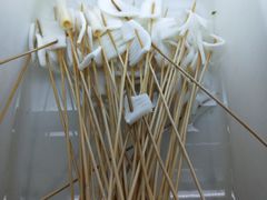 -镇江龙·火锅串串(武侯祠店)