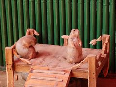 -杭州野生动物世界