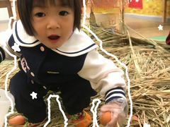 -巧虎KIDS早教中心(青秀区盛天地店)