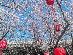 -春风习习