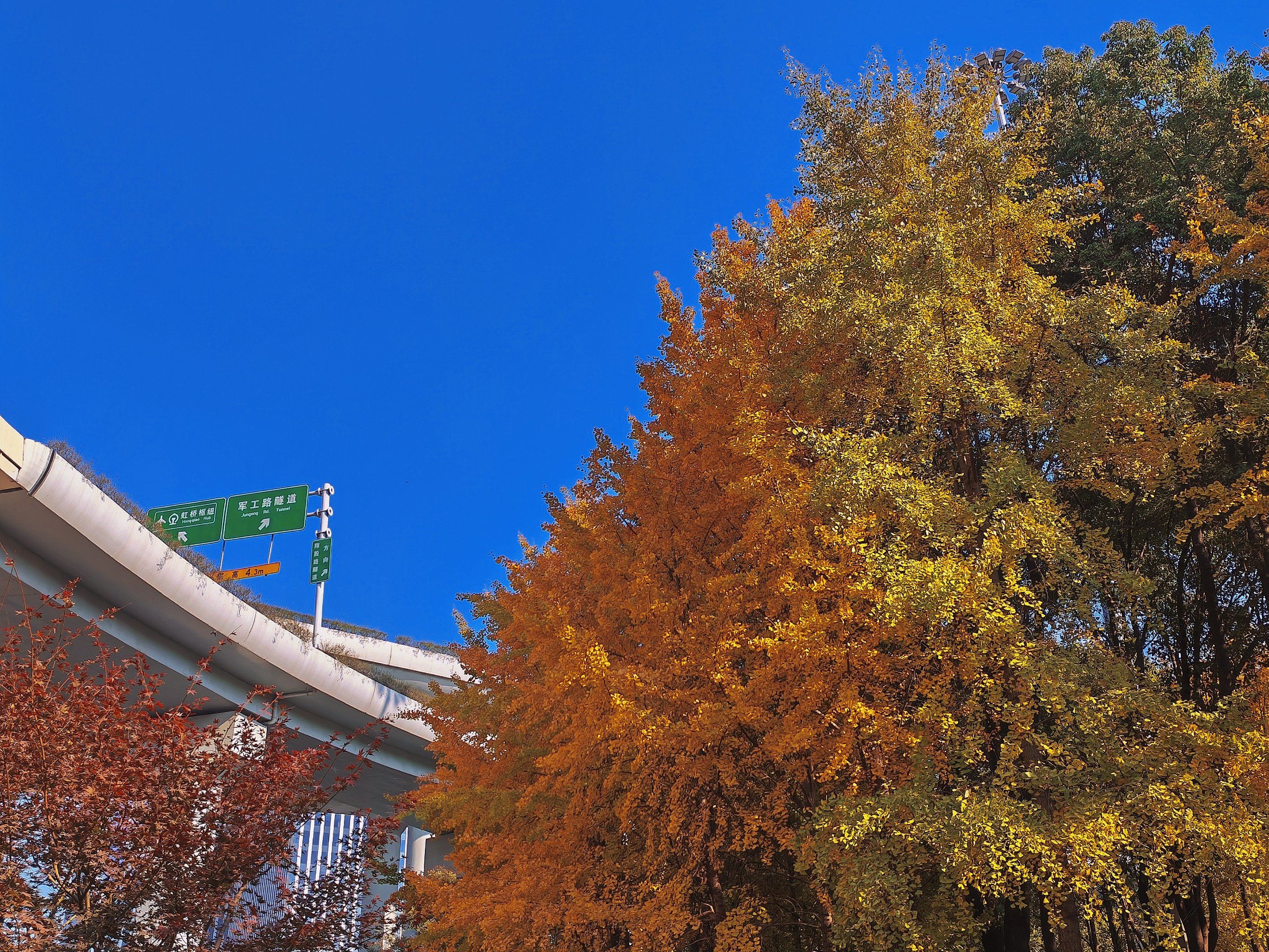 汶水路地铁站的秋天