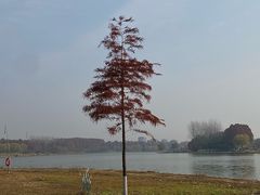 -滨湖塘西河公园