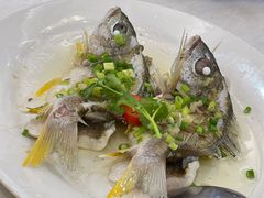 -有腥气私房菜·寻味顺德