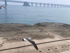 -星海广场