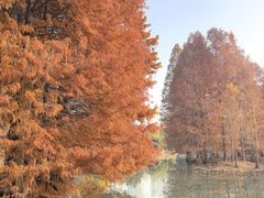 -白塘生态植物园