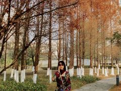 -白塘生态植物园