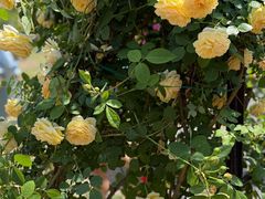 -上海交通大学(闵行校区)