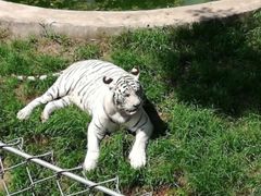 -石家庄市动物园