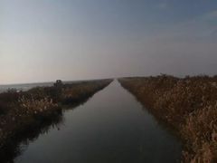 -大港湿地公园
