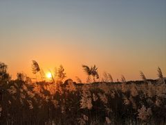 -苏州太湖湖滨国家湿地公园
