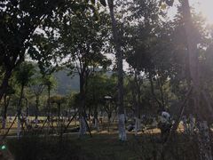 -火炉山森林公园