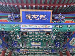 -莲花池公园