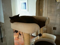 -Me Coffee下午茶艺术空间