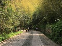 -紫金山天文台
