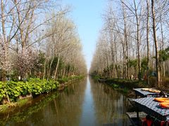 -合肥滨湖国家森林公园