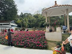 -人民公园(罗湖区)