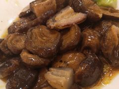 -新世纪大酒楼·30年南海菜