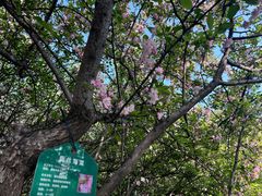 -城市运动公园(未央区)