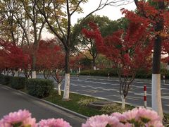 -无锡市市民中心