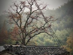 -丹山赤水风景名胜区