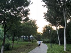 -北极寺公园