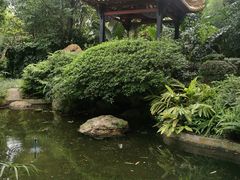 -广州兰圃