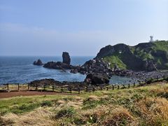 -涉地可支