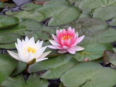 -紫竹院公园冰场