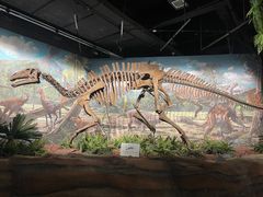 -辽宁古生物博物馆