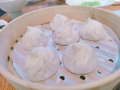 金奖头牌小笼包-苏小柳手作点心(控江旭辉分院)