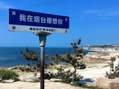-养马岛旅游度假区