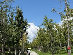 -狼山风景名胜区