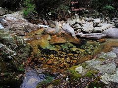 -祁门牯牛降观音堂风景区