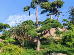 -罗红摄影艺术馆