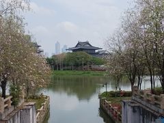 -海珠湖公园