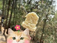-云龙山