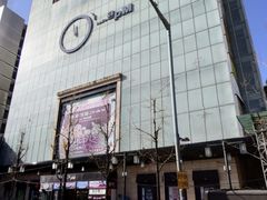 -乐天免税店(明洞店)