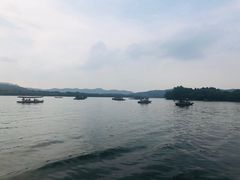 -西湖游船