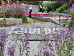 -武汉园博园(武汉自然博物馆)
