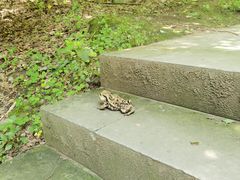 -南山植物园