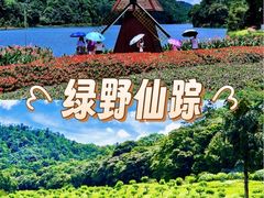 -广州市石门国家森林公园