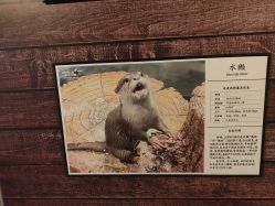 -Zoolung Zoolung动物主题公园(海信广场店)