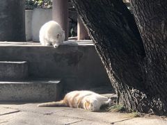 -北京凤凰岭
