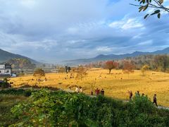 -塔川景区