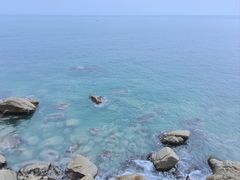 -广东惠东海龟国家级自然保护区