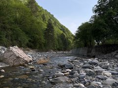 -黑河国家森林公园