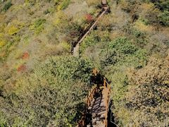 -大岭沟猕猴桃谷风景区